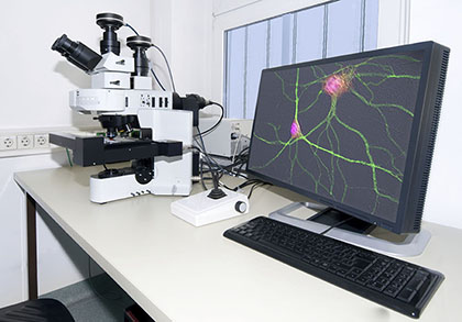 Modern microscope with digital imaging capacity